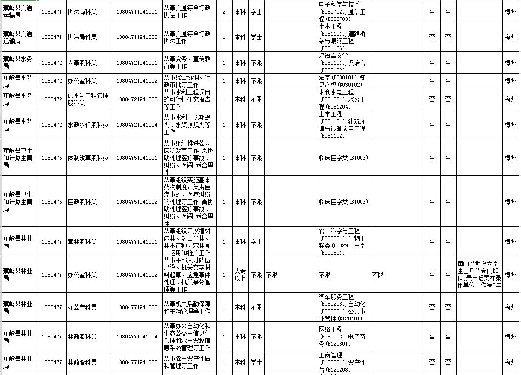 广东省考公告审计专业，深度解读与前瞻展望