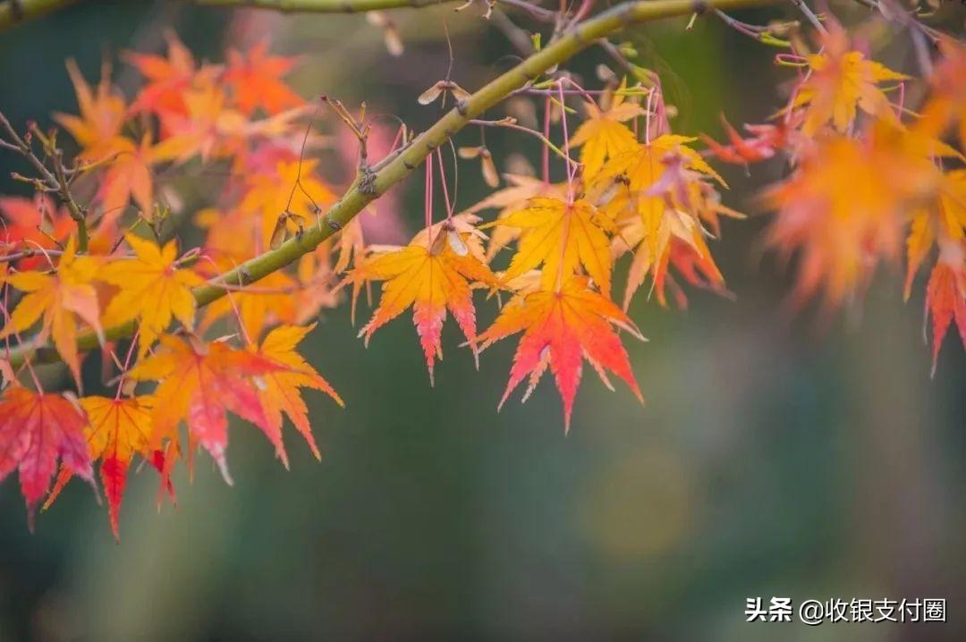 江苏科技大学老宿舍图片，岁月静好，回忆悠长